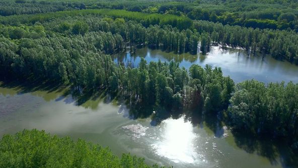Evropská Amazonie (2/2)