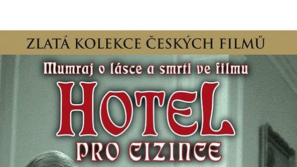 Hotel pro cizince