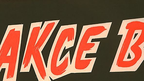 Akce B
