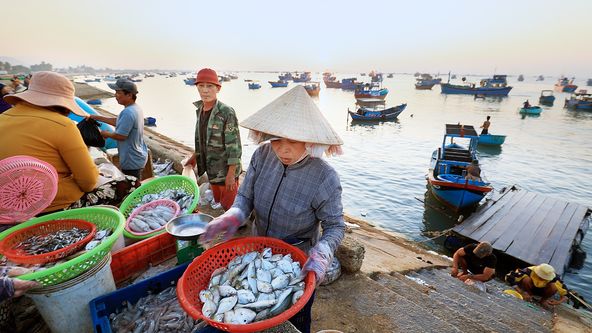 Jižní Vietnam, tisíc tváří Asie