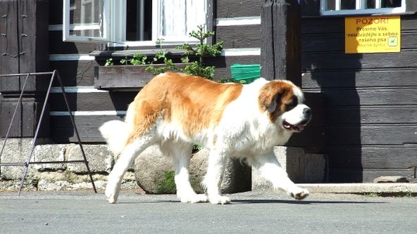 Na vrcholky hor s Vladimírem Čechem