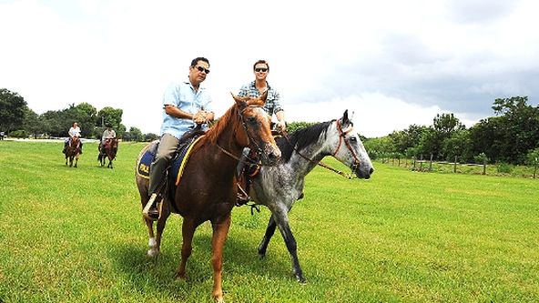 Slunečno, místy vraždy IV (12)