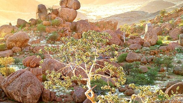 Kamera na cestách: Namibie, přírodní bohatství Afriky