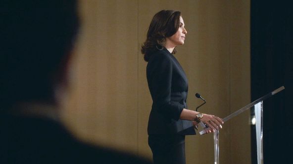 Dobrá manželka V (14)