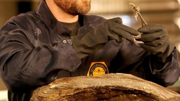 Sběratelé kostí X (11)