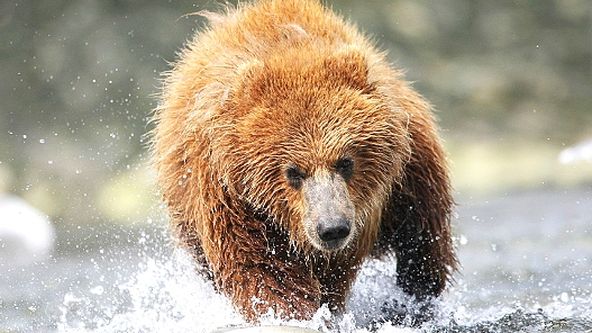 Život se sopkami (3/7)