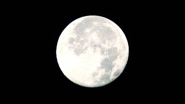 Zázračná planeta: 24 hodin na planetě Zemi (2/2)