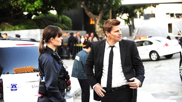 Sběratelé kostí VI (11)