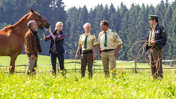 Hubert a Staller III