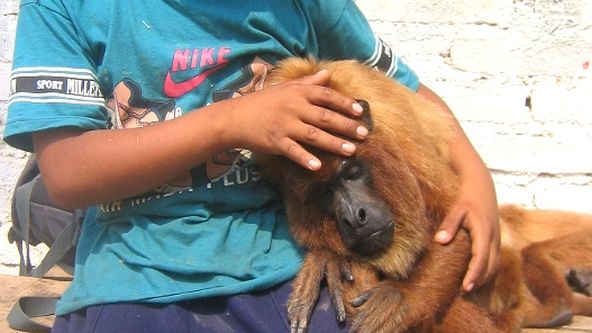 Bolivijská Noemova archa