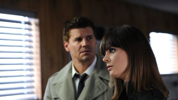 Sběratelé kostí VI (17)