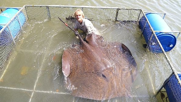 Rybí legendy Jakuba Vágnera