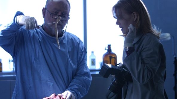 Kriminálka Las Vegas V