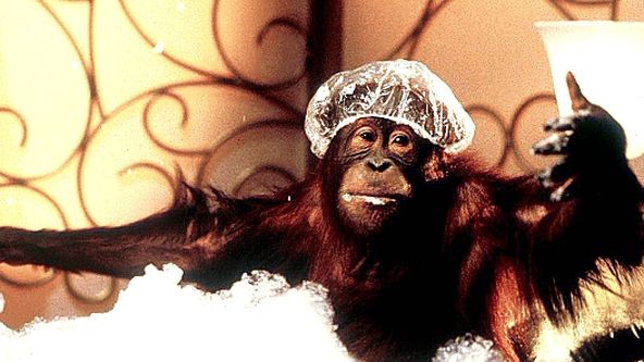 Dunston: Sám v hotelu