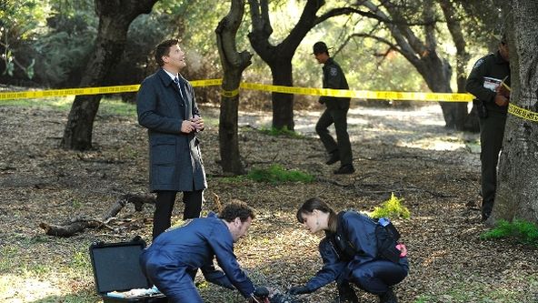 Sběratelé kostí VI (18)